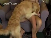 A couple fucking and their dog